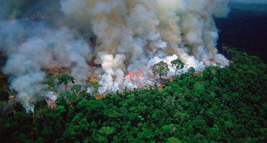 Incendie dans la forêt amazonienne